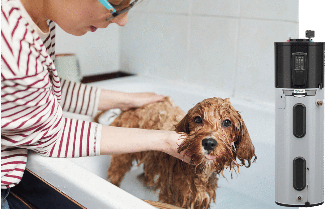 Meet AO Smith: The Water Heater Connecticut Homeowners Are Switching To — and Why It’s Worth Every Penny